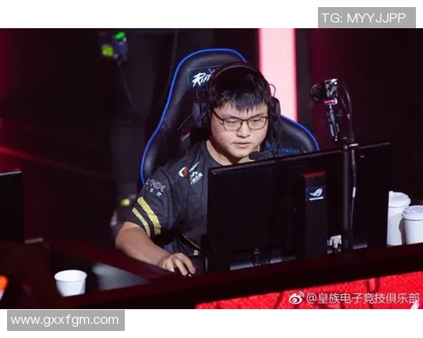 RNG的成长历程与洲际赛的辉煌征程全景回顾